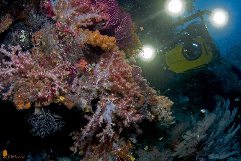 Howard Hall and IMAX camera on coral reef for "MFF Journey to the South Pacific"