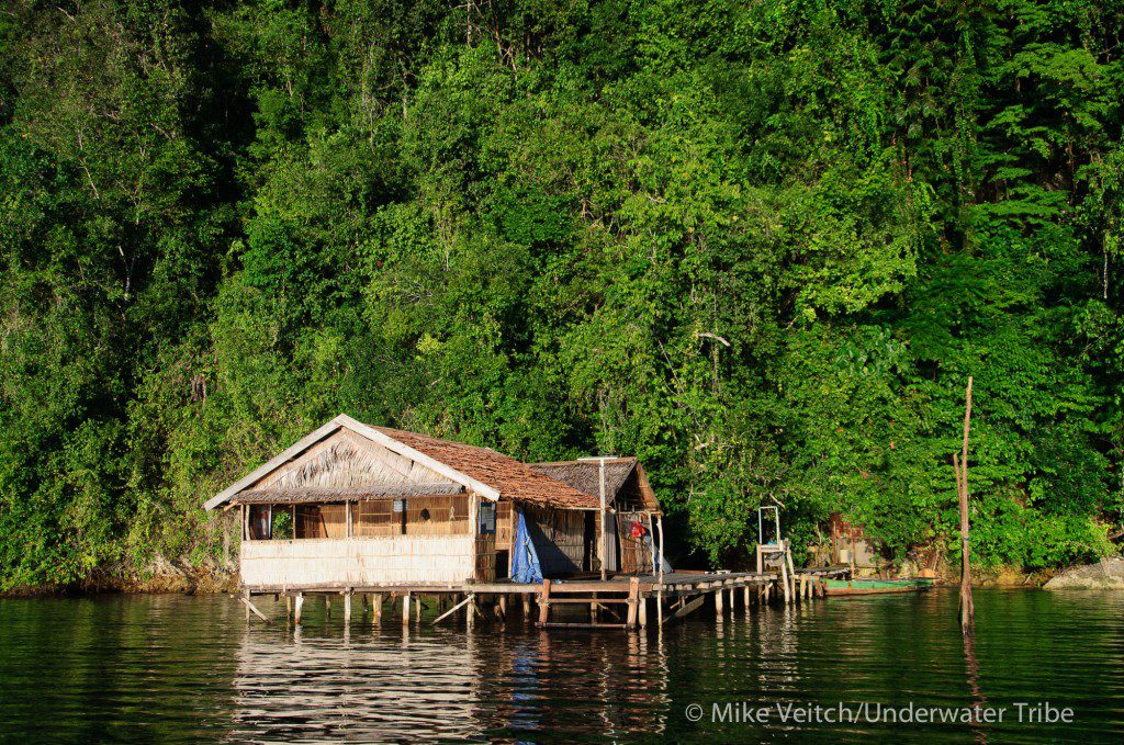 "Kayaks for Conservation", offer a series of guest houses in the north Raja Ampat area made specifically for kayaking adventures.