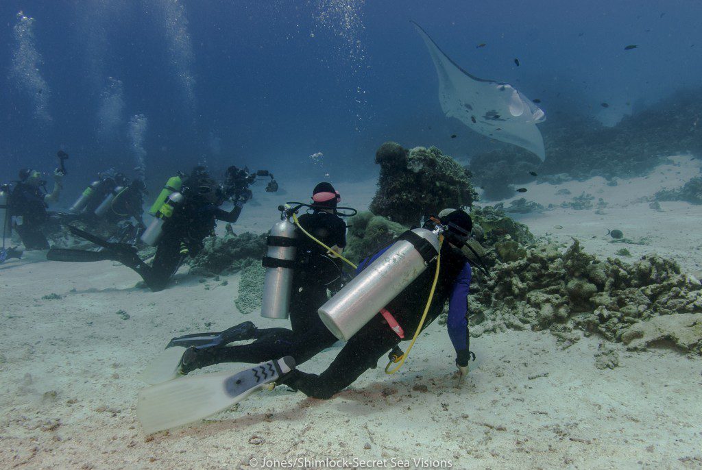 Divers positioned behind barrier to allow mantas free access to their cleaning station and so that every diver has a chance to see them.