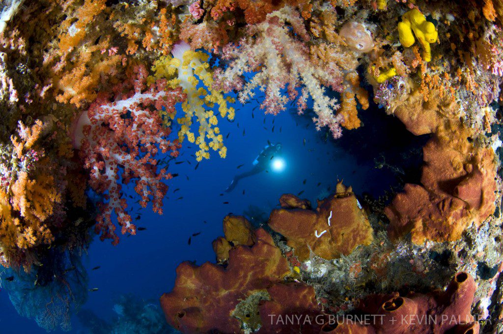 West Papua, Indonesia, Indo-Pacific Ocean