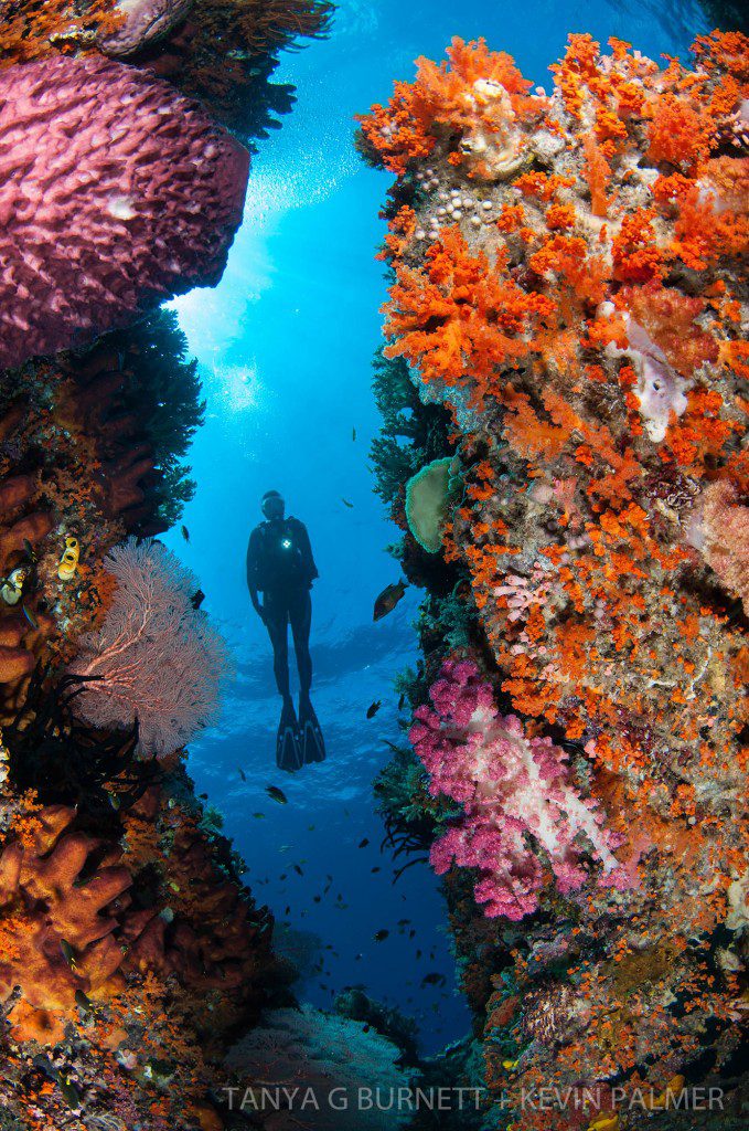 Daram, Misool. Raja Ampat, West Papua, Indonesia, Indo-Pacific Ocean