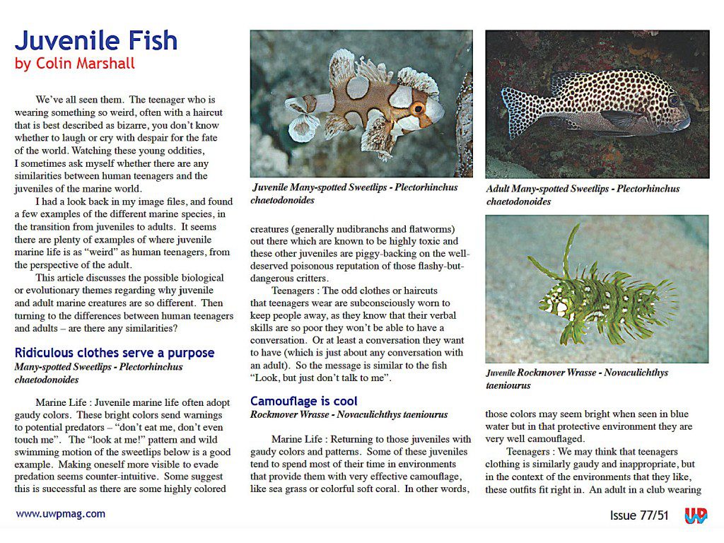 Juv Fish full_Page_1