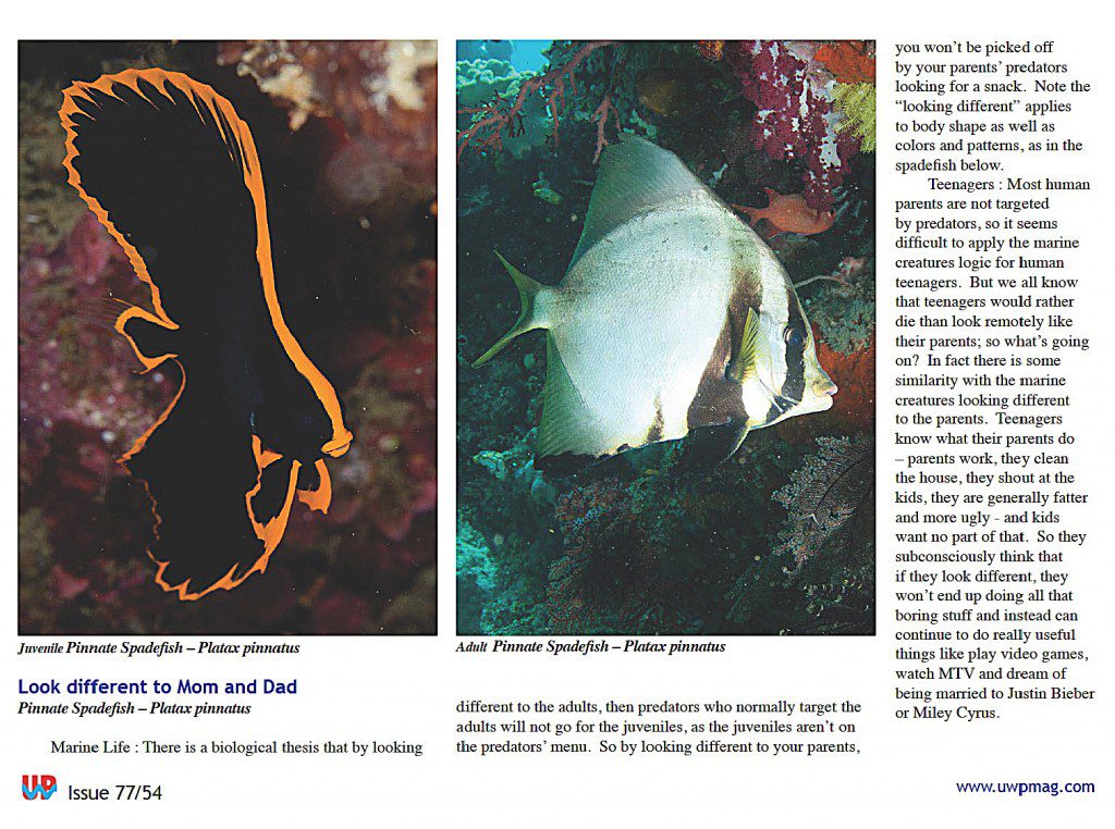 Juv Fish full_Page_4