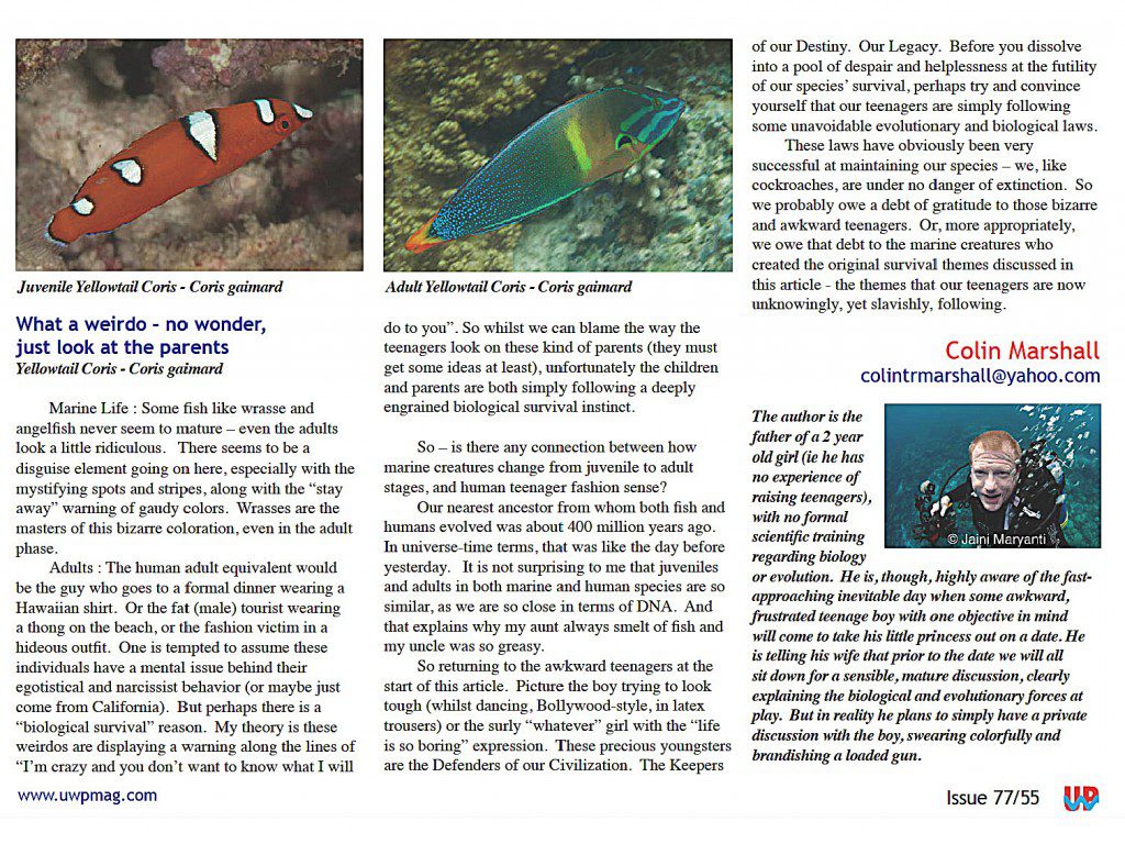 Juv Fish full_Page_5