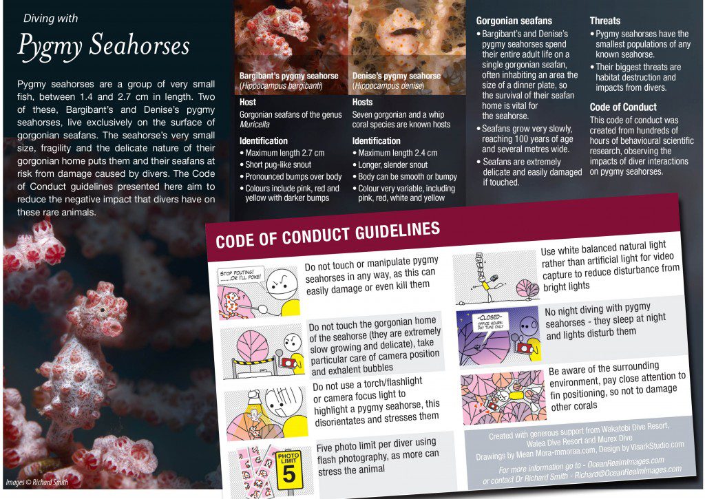 Pygmy Seahorse Code of Conduct
