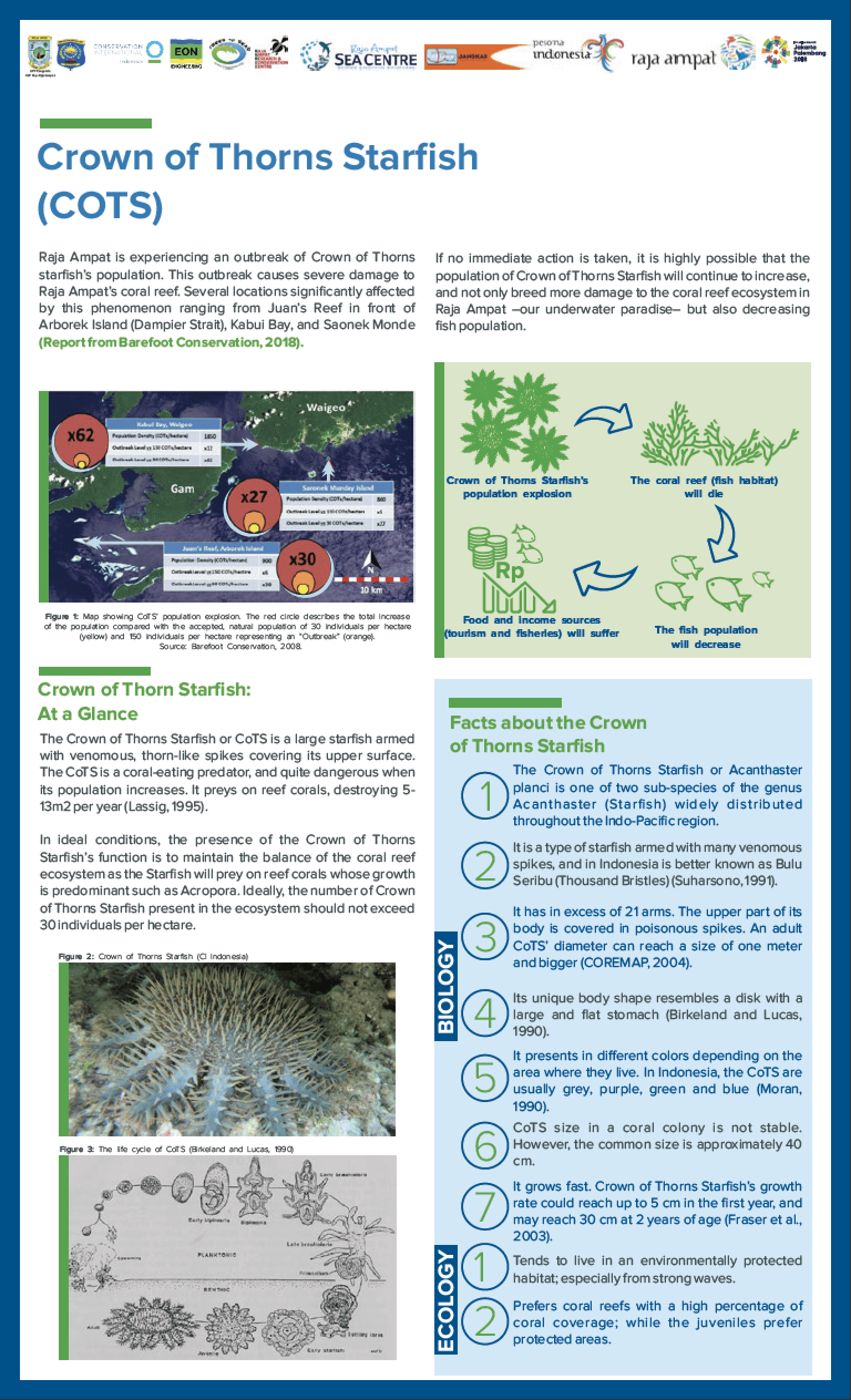 Bird's Head Seascape Crown of Thorns Seastar (COTS) in Raja Ampat by Dr