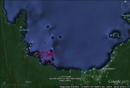 Position data from the 6m whale shark "Wally" tagged on 29 October 2015, showing the animal remaining close to Kwatisore 