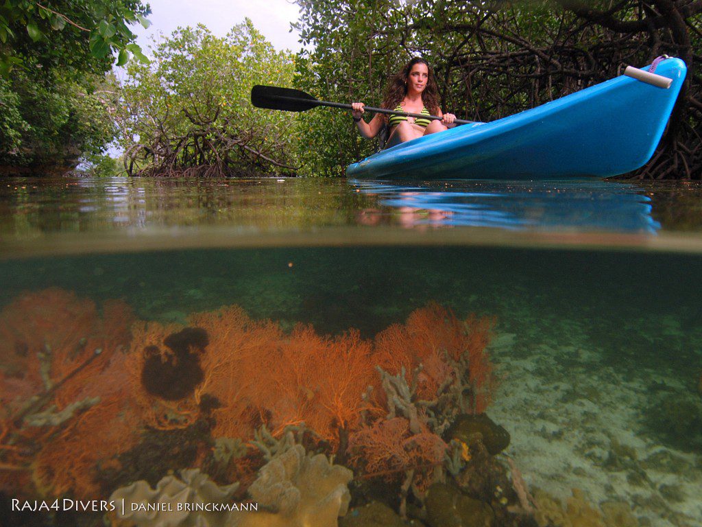 kayaking_r4d